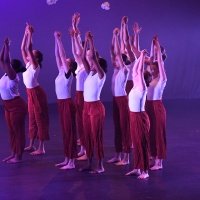 Youth Companies on Hold