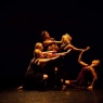 Adult Dancers Wanted! Join The Dance Collective