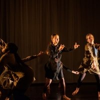 Auditions Cascade Youth Company